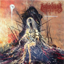 Autophagy - Bacteriophage (Vinyle Usagé)