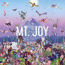 Mt Joy - Rearrange Us (Vinyle Usagé)