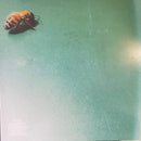 Rocket Summer - Sweet Shivers (Vinyle Usagé)