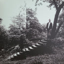 Timber Timbre - Timber Timbre (Vinyle Usagé)