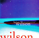 Brian Wilson - Imagination (CD Usagé)