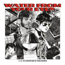 Water From Your Eyes - Everyones Crushed (Vinyle Neuf)