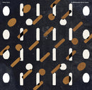 Dries Tack - In Memoriam Alvin Lucier (Vinyle Neuf)