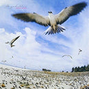 Masayoshi Takanaka - Seychelles (Vinyle Neuf)