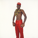 Tyler The Creator - Dont Tap The Glass (Vinyle Neuf)