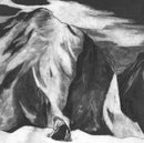 Midori Hirano - The Juniper Tree (Vinyle Neuf)