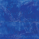 Water From Your Eyes - Its A Beautiful Place (Indie) (Vinyle Neuf)