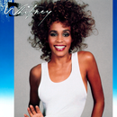 Whitney Houston - Whitney (Vinyle Neuf)
