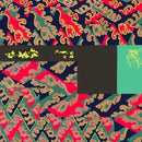 Natural Information Society / Evan Parker - Descension Out Of Our Constrictions (Aguirre Edition) (Vinyle Neuf)