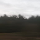 Film School - Field (Vinyle Neuf)