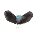 HaywardxDalek - HaywardxDalek (Vinyle Neuf)