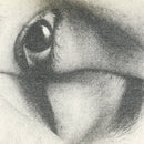 Nous Deux -  Et Le Monde Entier (Vinyle Neuf)