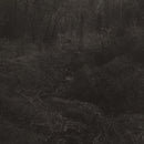 Lesley Mok - Transient (Vinyle Neuf)