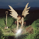 Alphonse Bisaillon - Tom Ou La Trajectoire Des Perseides (Vinyle Neuf)