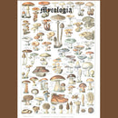 Mycologia - Assorted Mushrooms Of New England (Vinyle Neuf)