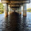 Weeks Island - Droste (Vinyle Neuf)