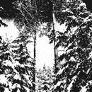 Hvergelmir - Urskog (Vinyle Neuf)