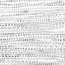 Michel Banabila - Echo Transformations (Vinyle Neuf)