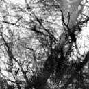 Grouper - Way Their Crept (Vinyle Neuf)