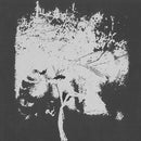 Black Ships - Omens (Vinyle Neuf)