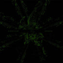 Abigor - Time Is The Sulphur In The Veins Of The Saint (Vinyle Neuf)