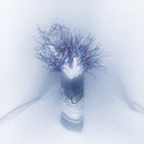 CD Ghost - When The Rain Stops (Vinyle Neuf)