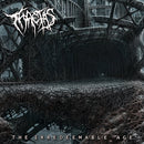 Thaetas - The Irredeemable Age (Vinyle Neuf)