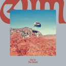 Gum - Out In The World (Vinyle Neuf)