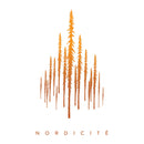 Sebastien Leblanc - Nordicite (Vinyle Neuf)