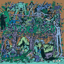 Al And The Faryds Doum - Ipnagogico (Vinyle Neuf)