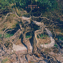 Bremer / Mccoy - Utopia (Vinyle Neuf)