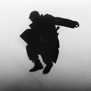 Del Water Gap - Chasing The Chimera (Vinyle Neuf)