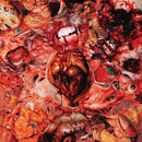 FesterDecay - From Demo To Rot (Vinyle Neuf)