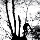 Cindytalk - Camouflage Heart (Vinyle Neuf)