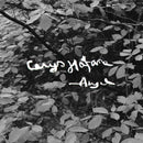 Cerys Hafana - Angel (Vinyle Neuf)