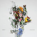 Big Brave - A Chaos Of Flowers (Vinyle Neuf)