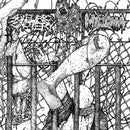 Sulfuric Cautery / Myxoma - Sulfuric Cautery / Myxoma (Vinyle Neuf)