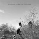 Maia Friedman - Goodbye Long Winter Shadow (Vinyle Neuf)