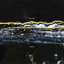 Gilla Band - Pugnello (Vinyle Neuf)