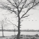 Rico Friebe - Maintenant (Vinyle Neuf)