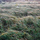 Steve Gunn - Music For Writers (Vinyle Neuf)