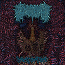 Civerous - Decrepit Flesh Relic (Vinyle Neuf)