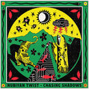Nubiyan Twist - Chasing Shadows (Vinyle Neuf)
