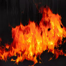 Beacon - How Drie A Cinder (Vinyle Neuf)