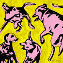 Paul Jacobs - Pink Dogs On The Green Grass (Vinyle Neuf)