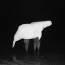 Safia Nolin - UFO Religion (Vinyle Neuf)