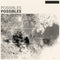 Possibles - Possibles (Vinyle Neuf)