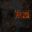Pupil Slicer - Fleshwork (Vinyle Neuf)