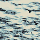 Bellbird - The Call (Vinyle Neuf)