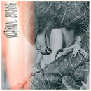 Author And Punisher - Nocturnal Birding (Vinyle Neuf)